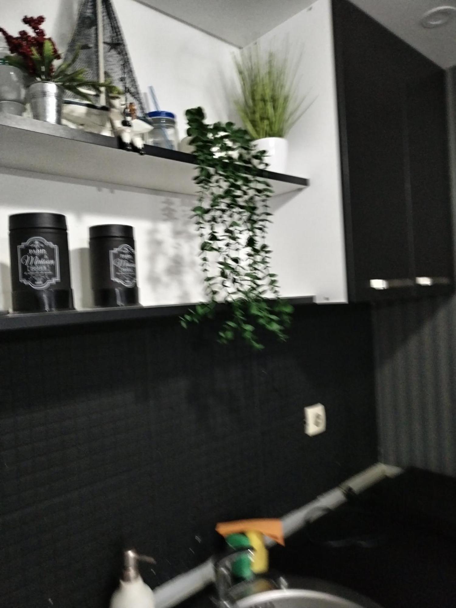 Studio Aries Vrnjacka Banja Ngoại thất bức ảnh